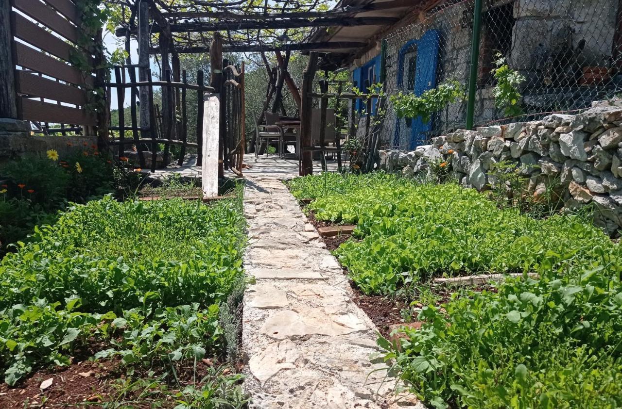 Casa Delle Olive Moscenicka Draga Exterior foto
