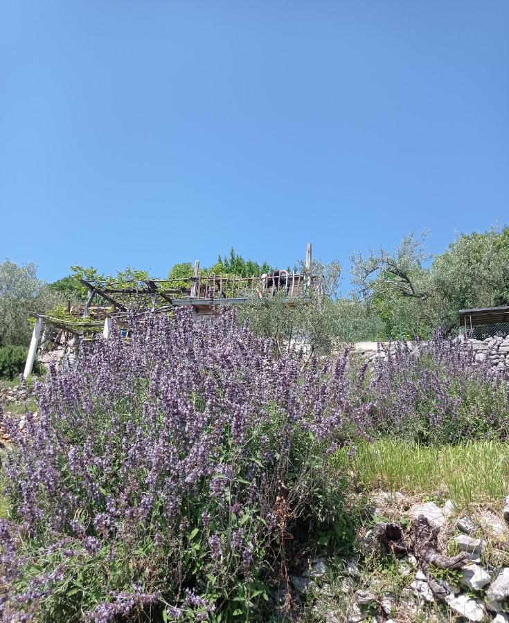 Casa Delle Olive Moscenicka Draga Exterior foto